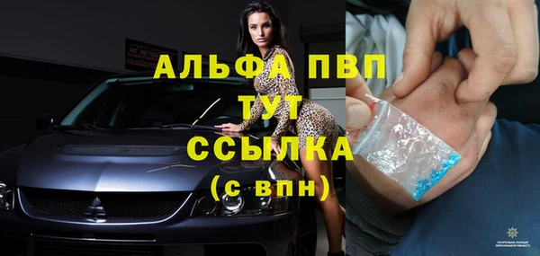 индика Белокуриха