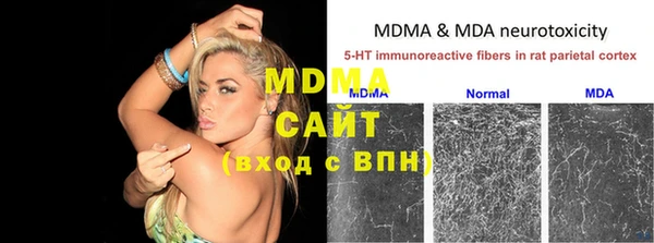 индика Белокуриха