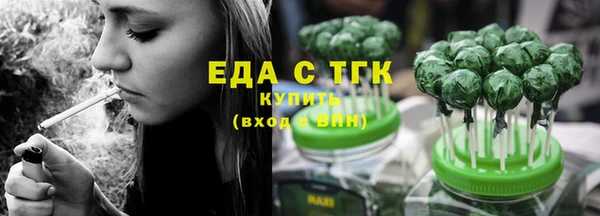 индика Белокуриха