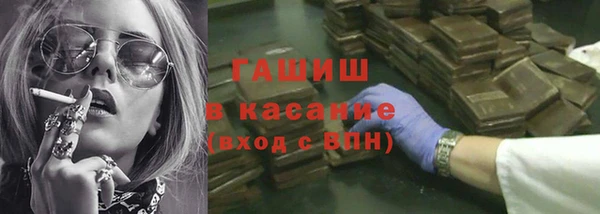 индика Белокуриха