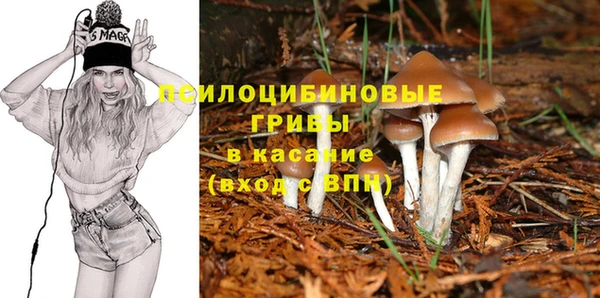 индика Белокуриха