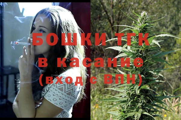 индика Белокуриха