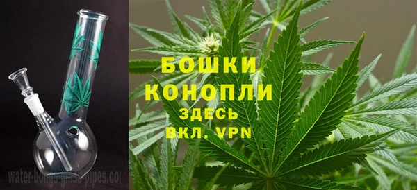 индика Белокуриха