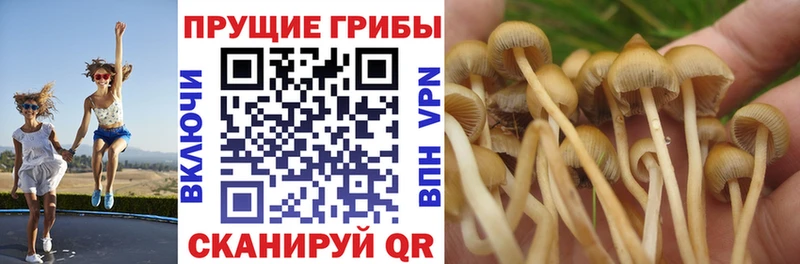кракен ONION  Раменское  Галлюциногенные грибы Magic Shrooms 